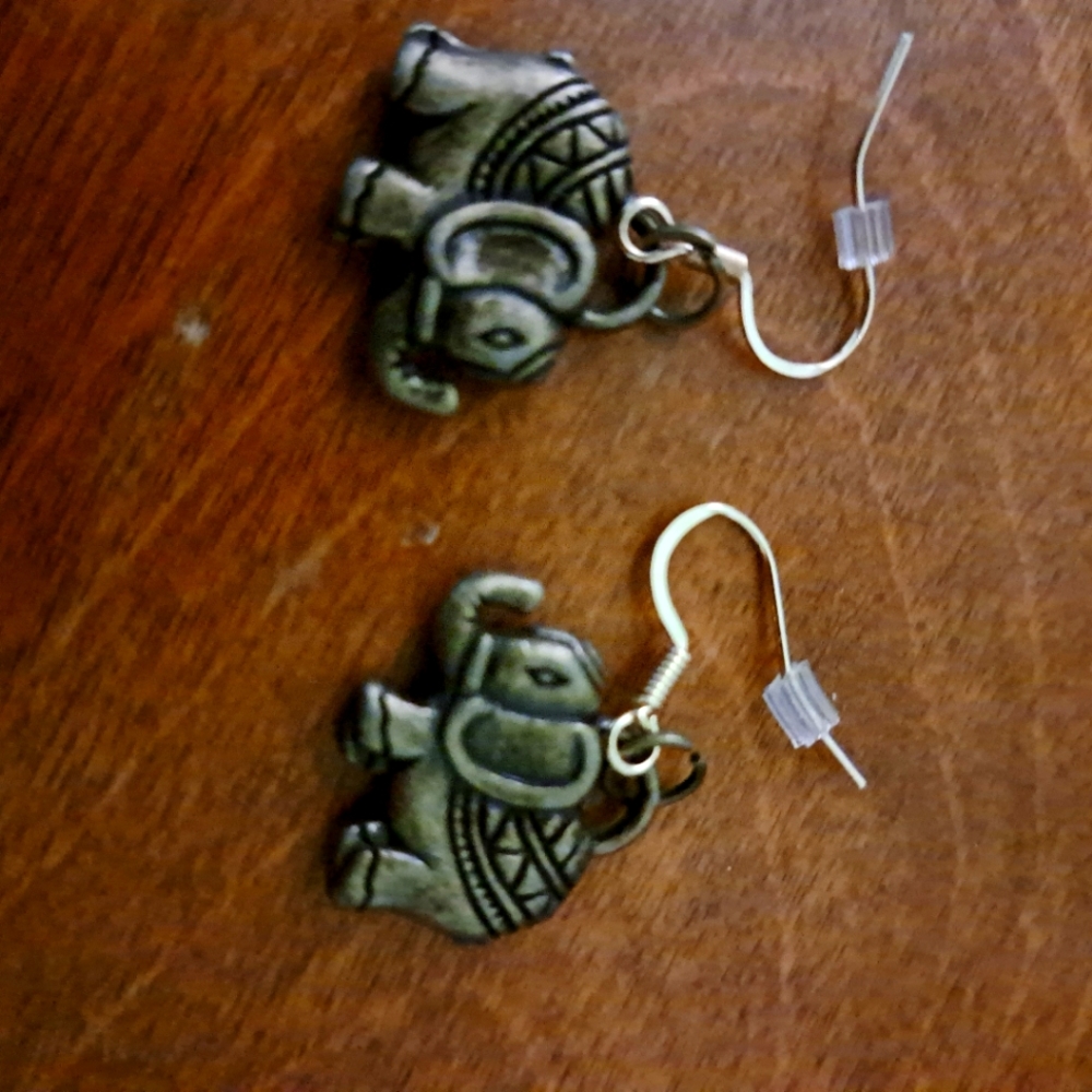 Earrings